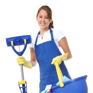 Rental Cleaning services
