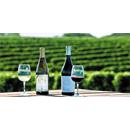Private Tours Wine tour in California. For aesthetes